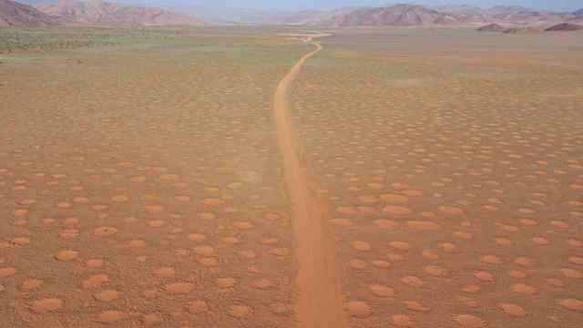Círculos de hadas en el desierto de Namibia.