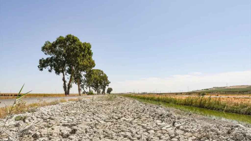 Imagen de archivo de sequía en España