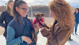 La concejala de Bienestar Animal, Ana Suárez, visita el nuevo Centro de Protección