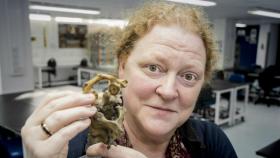 Sue Black, presidenta del Real Instituto de Antropología de Gran Bretaña e Irlanda.
