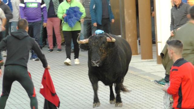 Uno de los encierros en Traspinedo