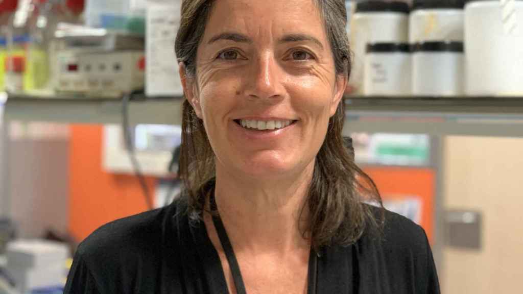 Maria Rosa Sarrias, del Instituto de Investigación Germans Trias i Pujol (IGTP). Investigadora principal del proyecto 'Un anticuerpo monoclonal para el tratamiento contra el cáncer'