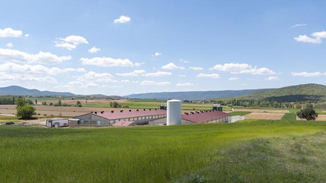 Revés judicial a un pueblo de Cuenca por una ordenanza para frenar las macrogranjas