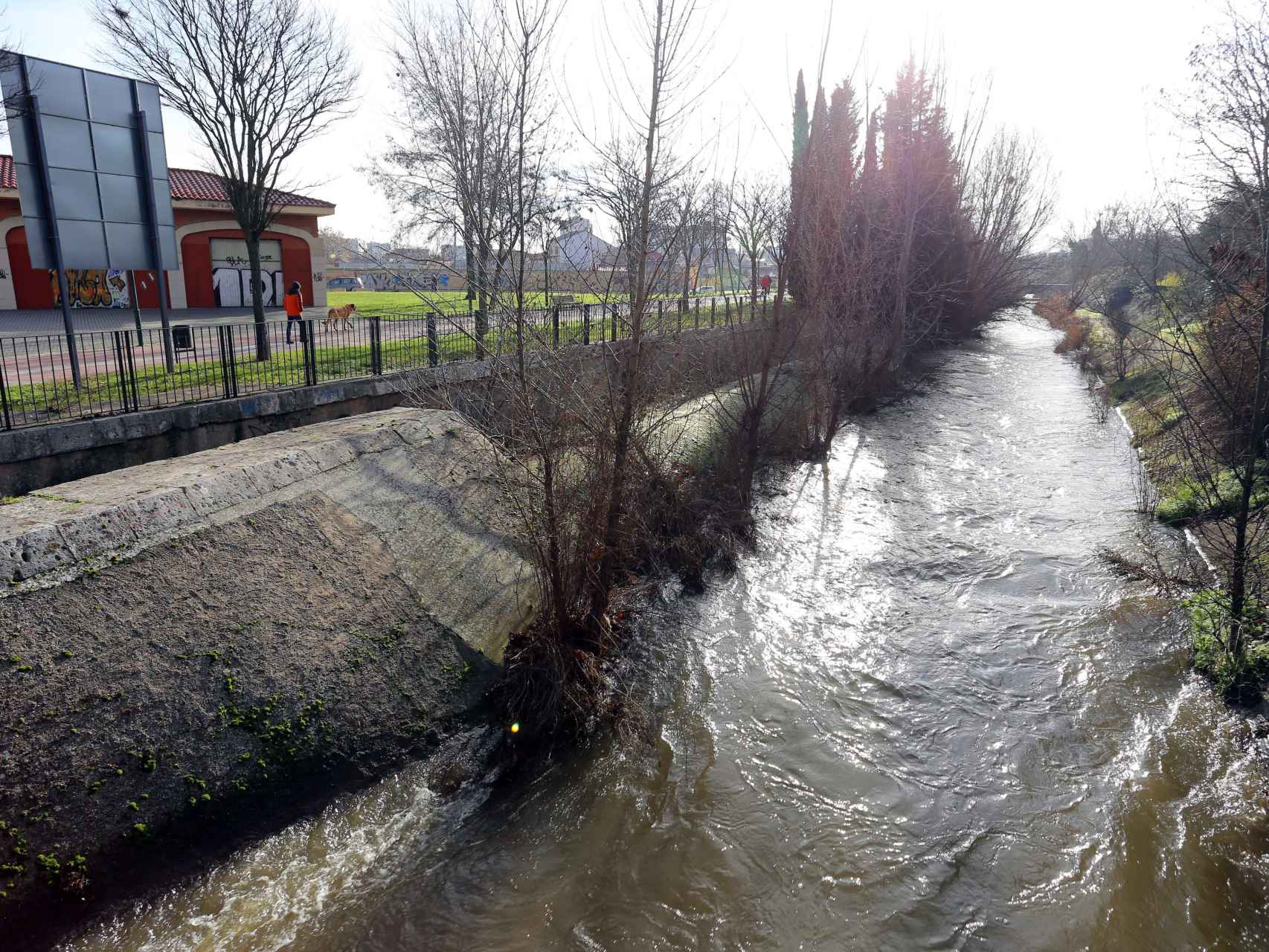 La crecida del río Esgueva a su paso por Valladolid.