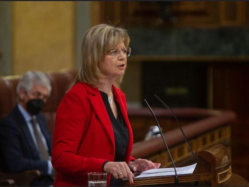 La diputada del PP por Zamora, Elvira Velasco, durante una intervención en el Congreso de los Diputados.