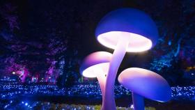 Naturaleza Encendida 2022: el espectáculo de luces imprescindible de Madrid