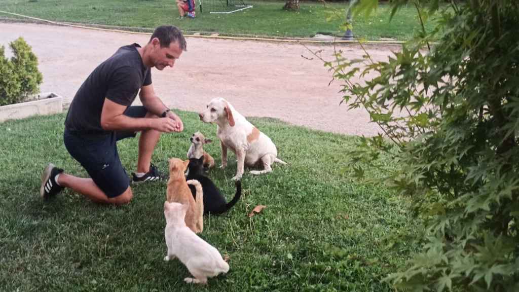 Rubén Rives, haciendo ejercicios de adiestramiento con perros acompañados de gatos.