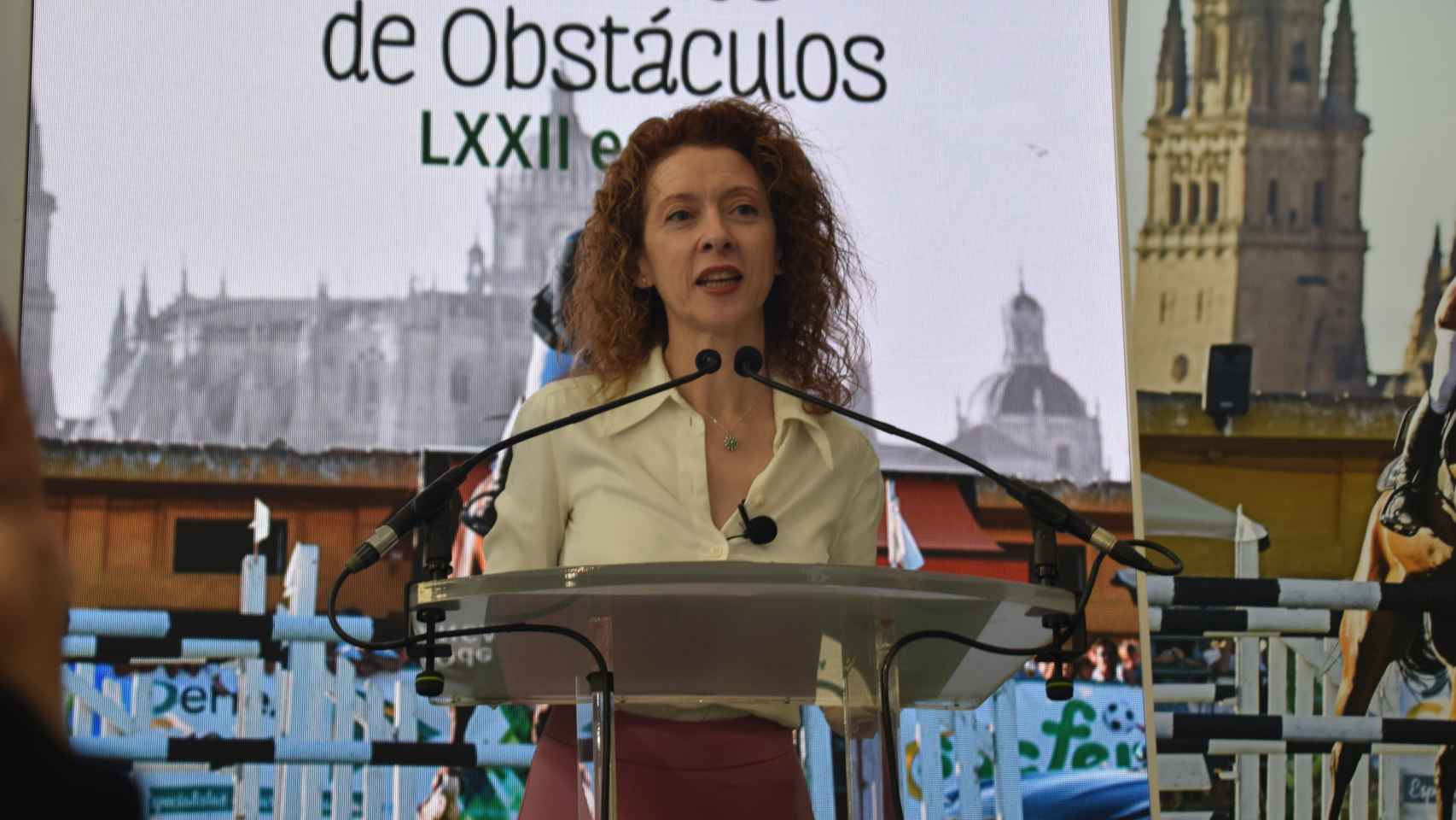 La teniente de alcalde de Salamanca, Ana Suárez
