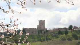 El castillo de Portillo