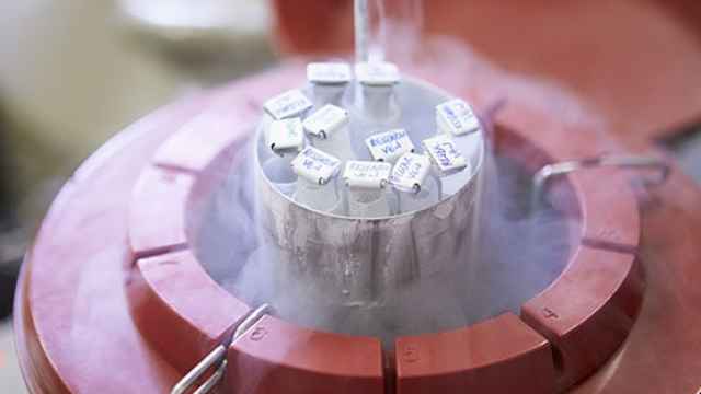 Muestra de un tanque criogénico con espermatozoides congelados.
