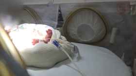La lucha de Sofía: nació en a las 24 semana con apenas 700 gramos de peso