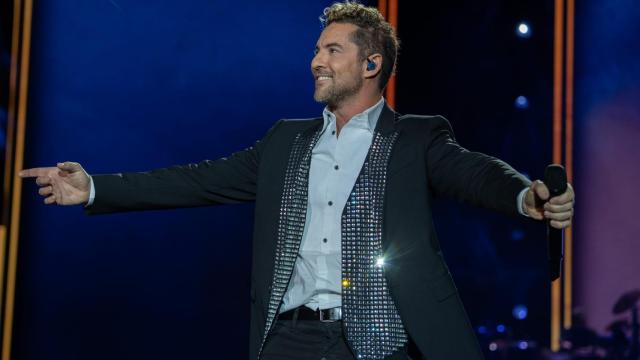 David Bisbal durante un concierto