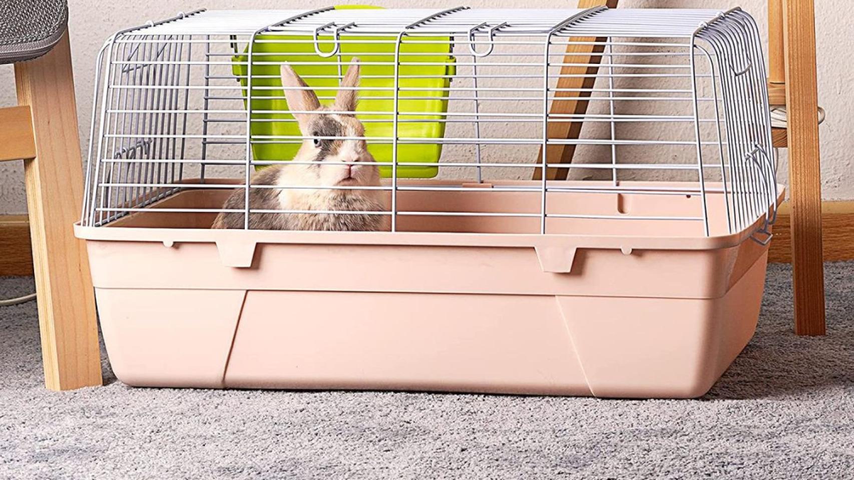 los padres de crianza borde Volver a llamar 4 jaulas para conejos que te permitirán darle a tu mascota un espacio  seguro e íntimo