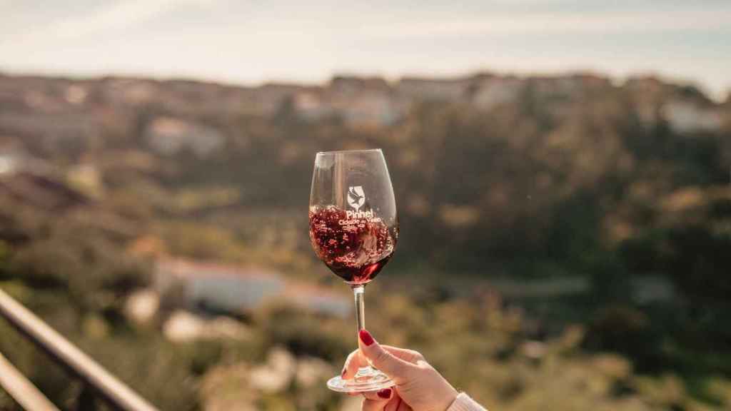 La calidad de los vinos de Pinhel es reconocida ya internacionalmente