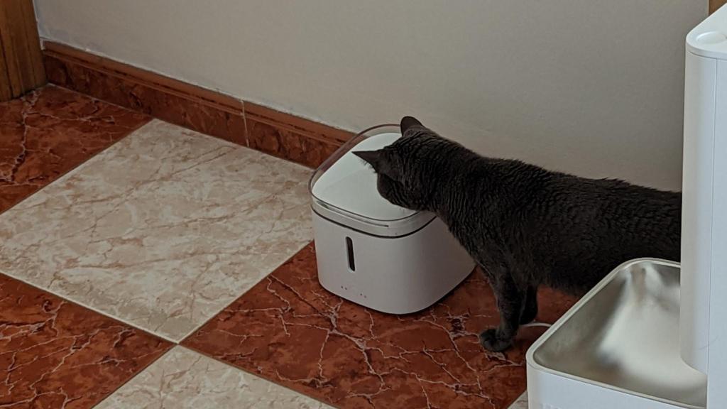 Xiaomi's pet waterer in action