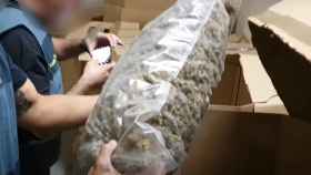 Descubren el mayor alijo de marihuana envasada del mundo: se almacenaba en Toledo y Ciudad Real