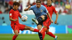 Fede Valverde, durante el Uruguay - Corea del Sur