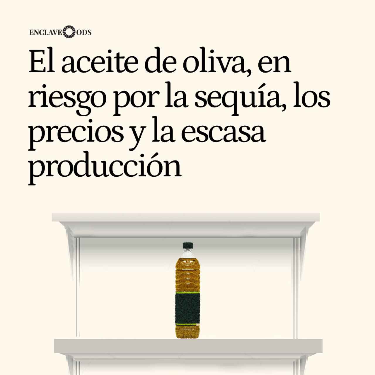 El aceite de oliva, en riesgo por la sequía: los precios están al alza y "apenas hay producción" en España