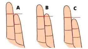 El significado de la longitud de tu dedo meñique.
