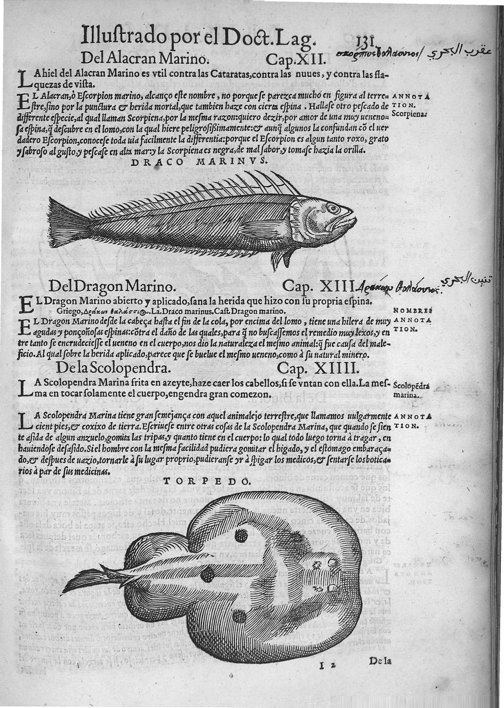Página de la obra Dióscorides traducida y comentada por el doctor Andrés Laguna. Impresa en 1555 en Amberes