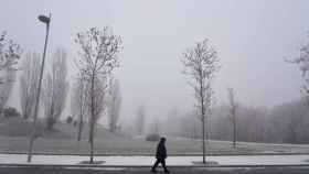 Frío y niebla en Valladolid