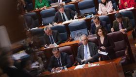 Isabel Díaz Ayuso en el pleno de la Asamblea de Madrid.