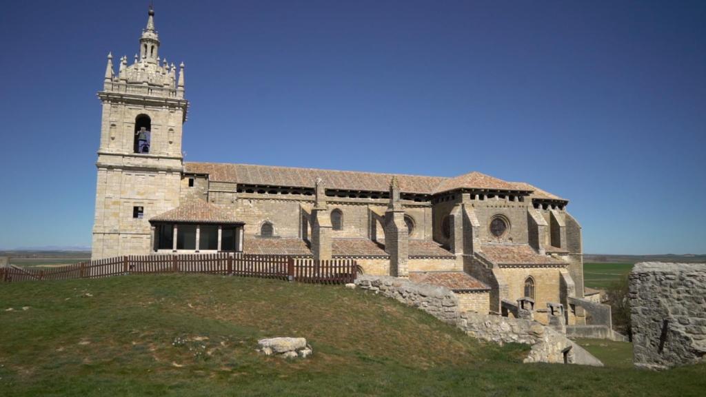 Támara de Campos