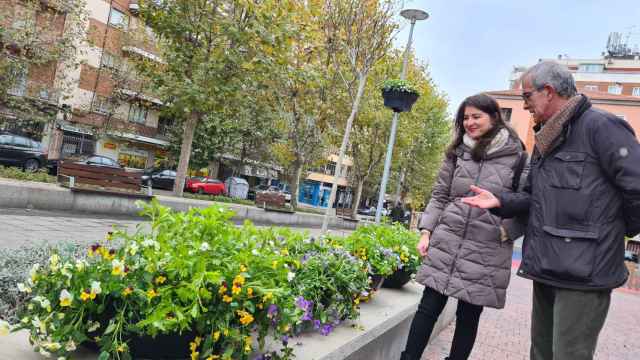 El Ayuntamiento de Salamanca lleva a los barrios la decoración floral con plantas en 150 farolas