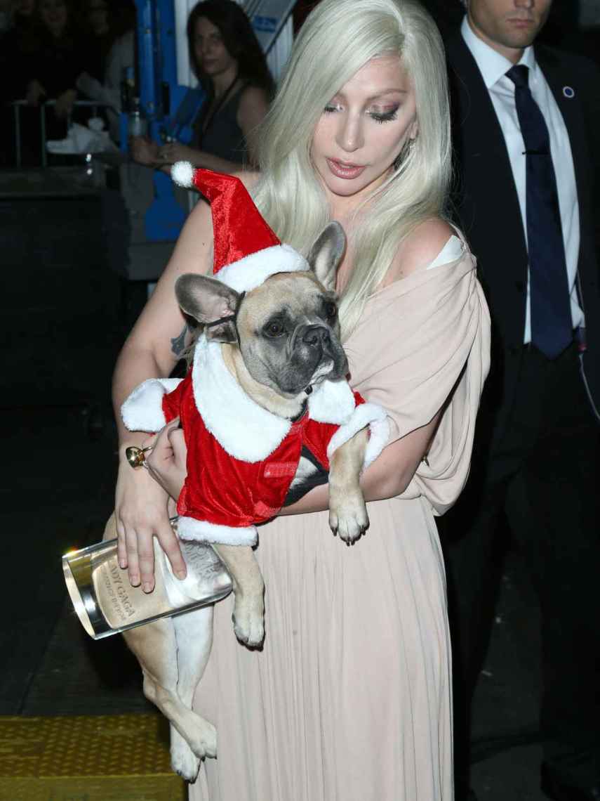 Lady Gaga con uno de sus perros.