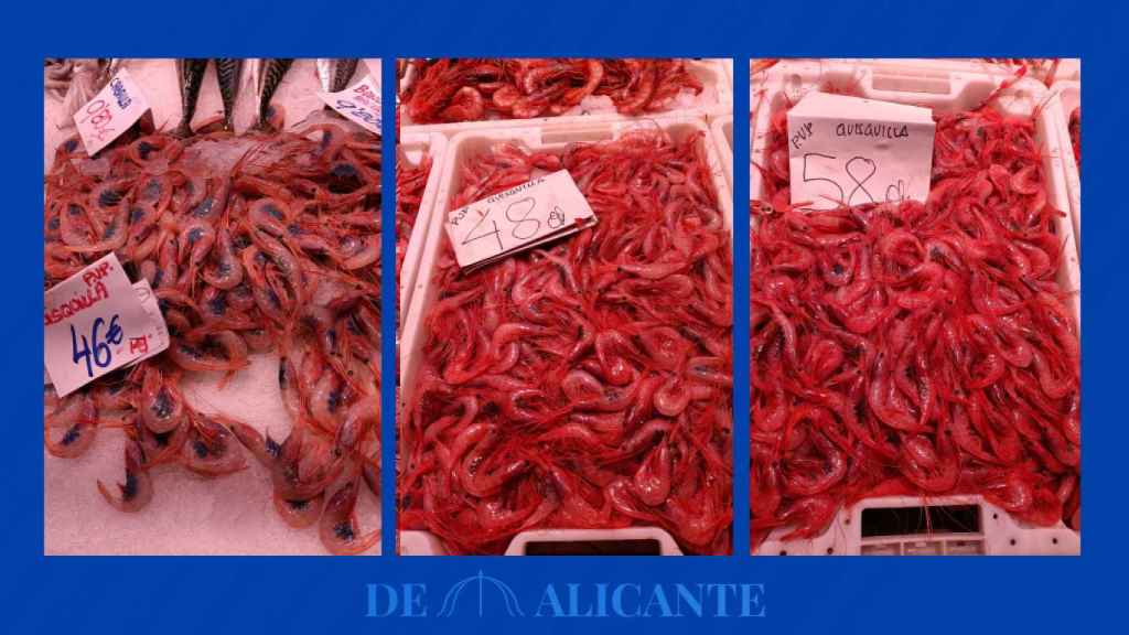 Precio medio de la quisquilla en el Mercado Central de Alicante.