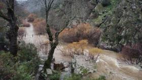 Lluvias en el Parque Nacional de Cabañeros.