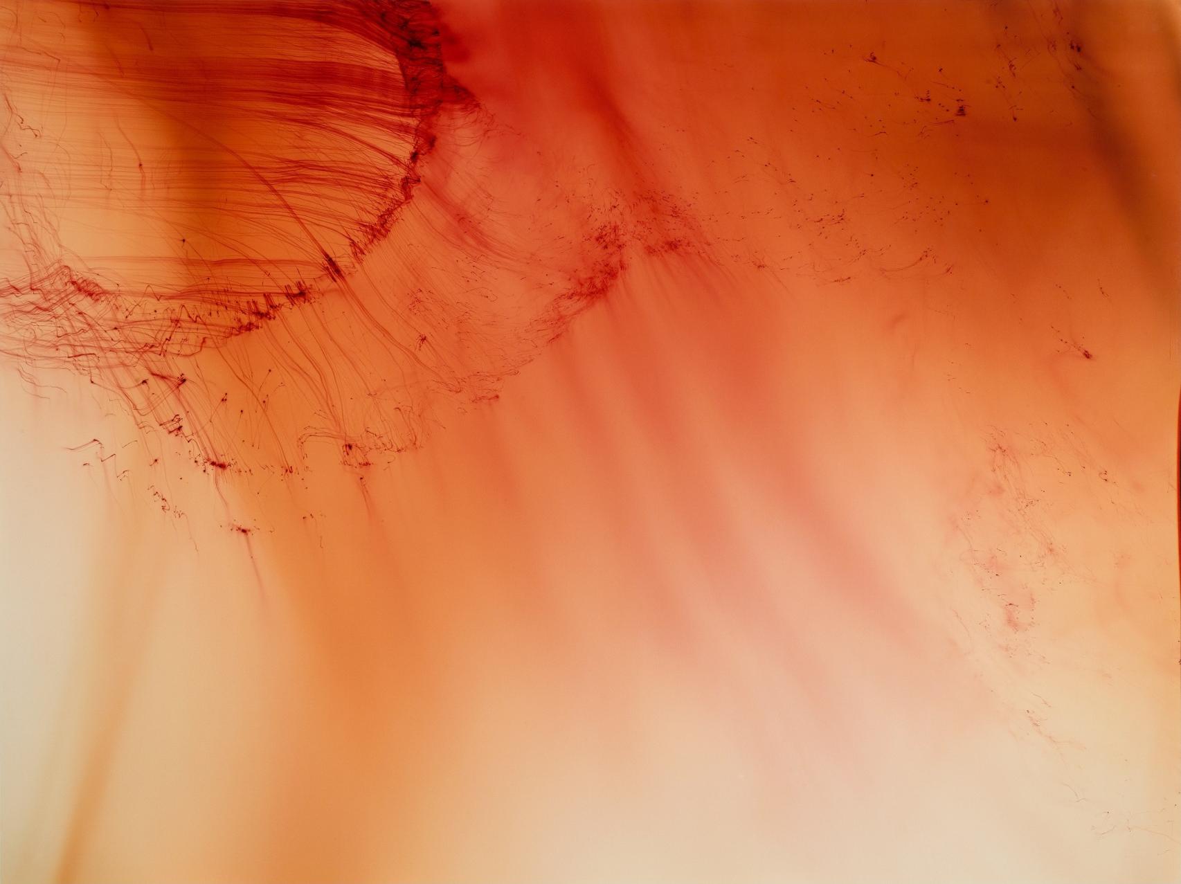 Wolfgang Tillmans: 'Urgency XVIII', 2006. Centre Pompidou, MNAM-CCI/Georges Meguerditchian/Dist.  RMN-GP © Wolfgang Tillmans