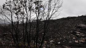 Sierra de la Culebra