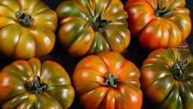 Los invernaderos solares del sur de España, el secreto de los tomates gourmet