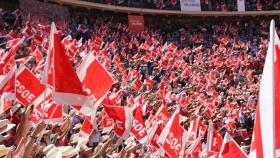 Militantes socialistas asisten a un mitin del PSOE organizado en la plaza de Toros de Valencia.