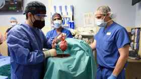 Miembros del equipo de la operación de David Bennett preparan el corazón de cerdo.