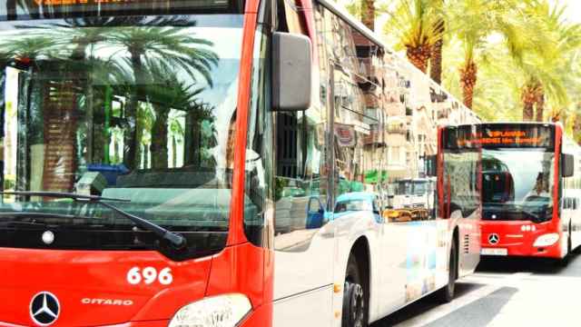 La reducción en los abonos de transporte urbano en Alicante, en la imagen sus autobuses, se mantendrá hasta el 31 de enero.