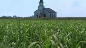 Un fotograma de 'En la hierba alta', película dirigida por Vincenzo Natali y basada en la novela homónima de Stephen King y Joe Hill