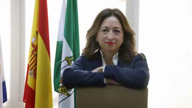 La presidenta del PP de Málaga, Patricia Navarro, durante la entrevista con Europa Press.