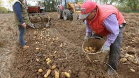 Unos agricultores en la provincia de Palencia.