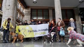 Concentración de PACMA en Valladolid