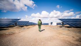 Imagen de una planta fotovoltaica de Iberdrola