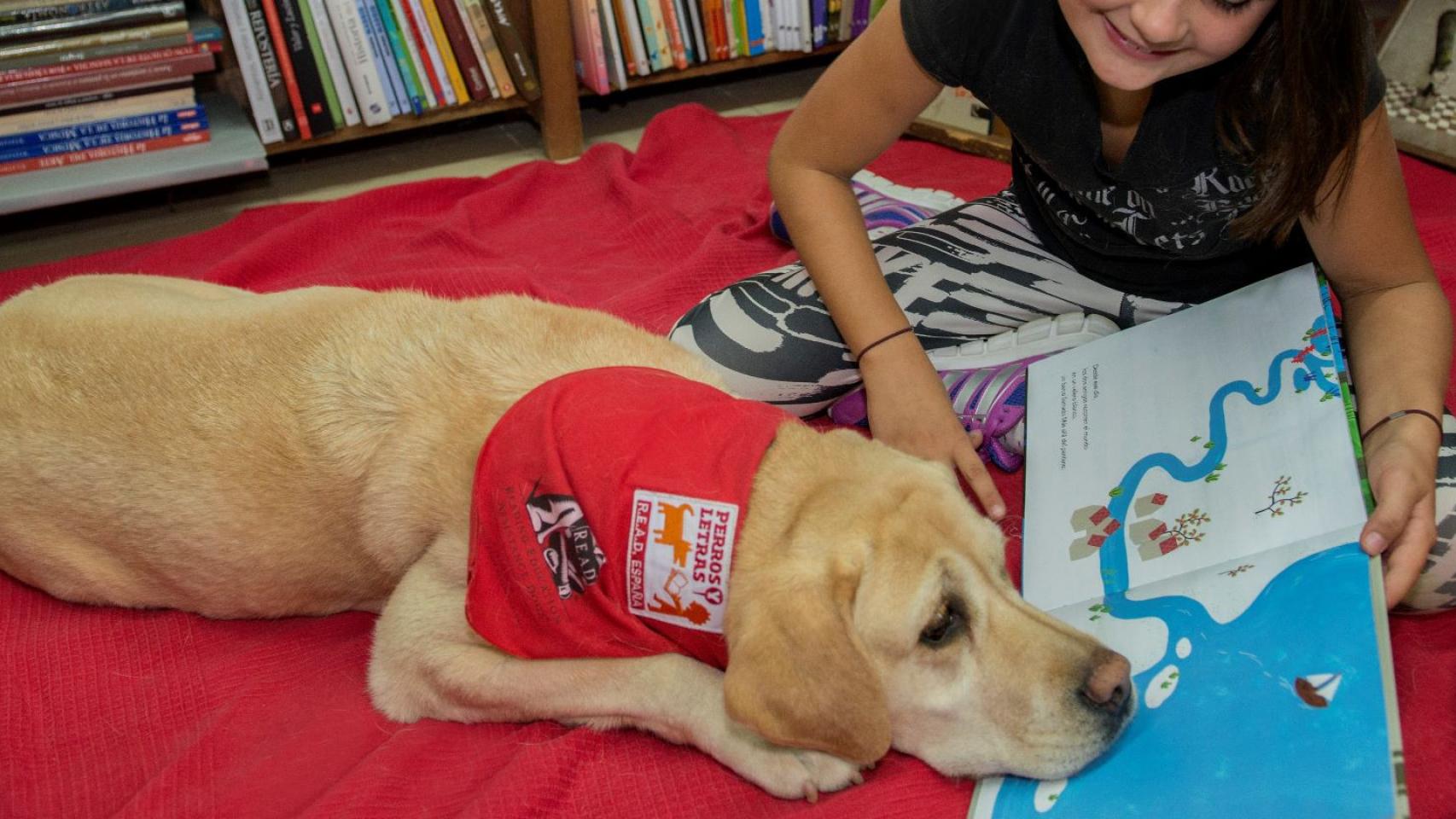 cómo puedo registrar a mi perro como perro de terapia