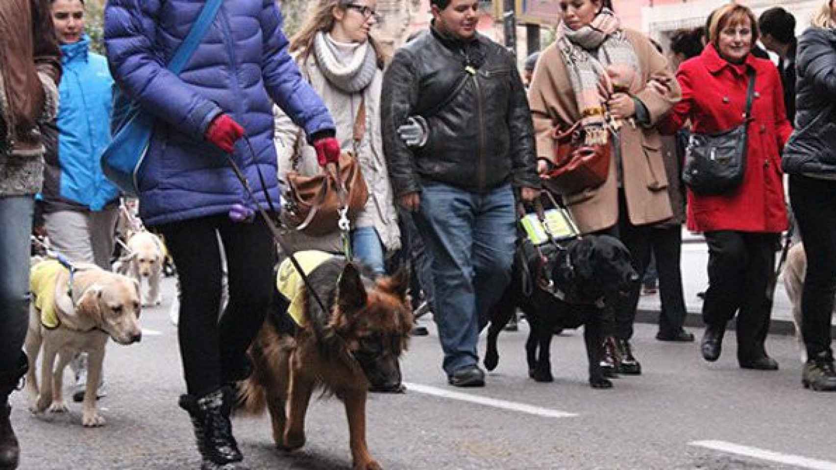 Fiestas de San Antón: las calles afectadas por el desfile de animales en  Madrid