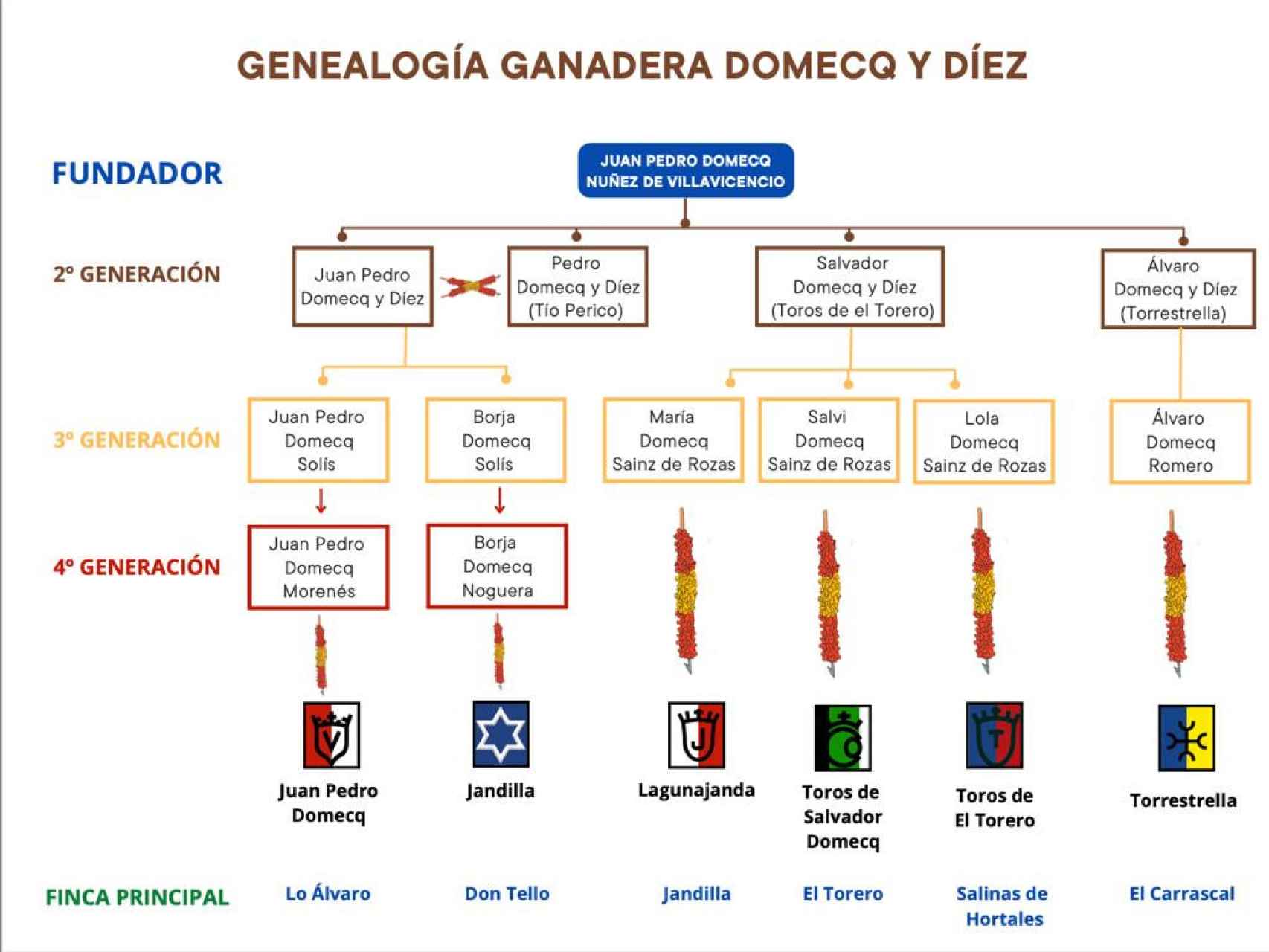 La genealogía del encaste de toros bravos Domecq.