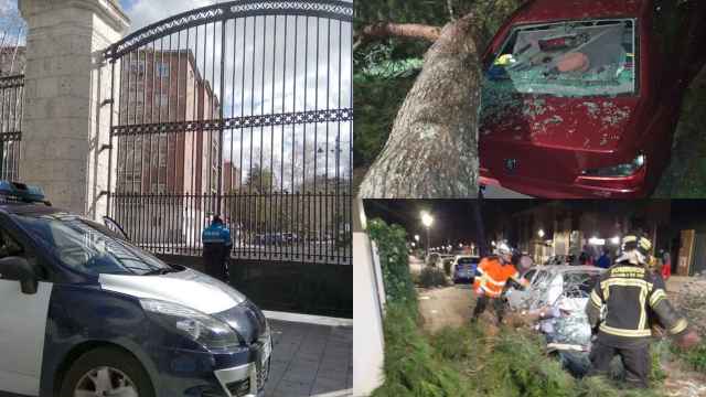 Un Policía Local cierra el Campo Grande. Los árboles provocan destrozos en coches.