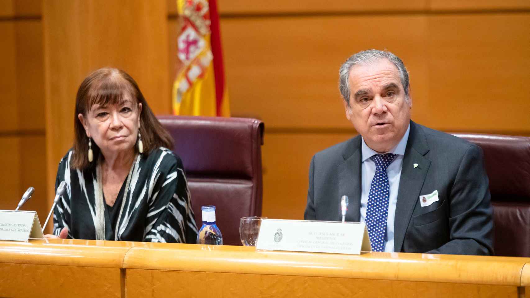 Cristina Narbona, vicepresidenta primera del Senado, y Jesús Aguilar, presidente del CGCF.