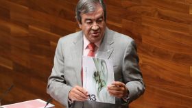 El exministro Francisco Álvarez-Cascos, en 2014, durante una intervención en el Parlamento asturiano.