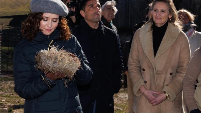 Ayuso apuesta más por una segunda vuelta que por la propuesta de Feijóo que la hubiera dejado en la oposición