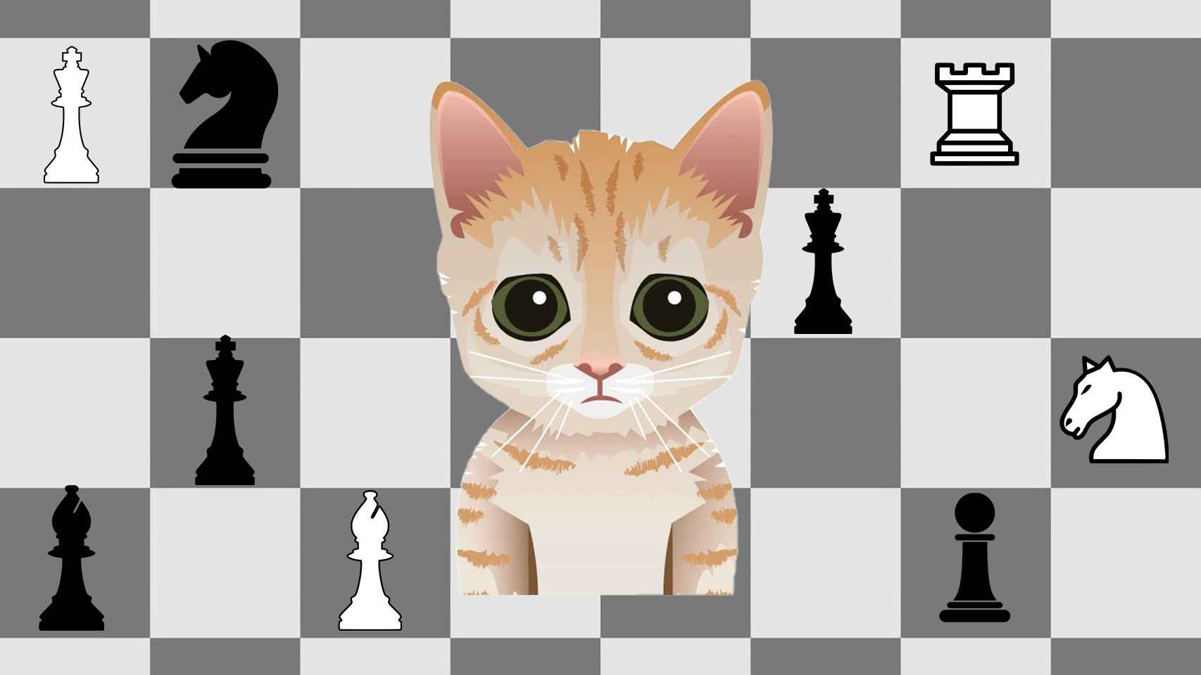 El ajedrez online tiene un nuevo campeón: un gatito virtual que pone en  jaque a maestros y aficionados